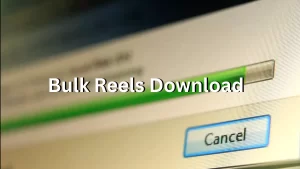 Bulk Videos Downloader for Facebook